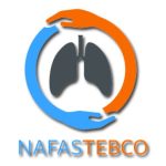 nafasteb logo