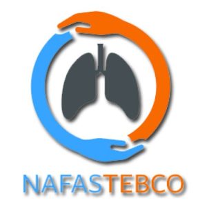 nafasteb logo